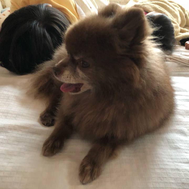 Ccab630d c07b 4325 ac94 a9349ba2f490 1622419463614