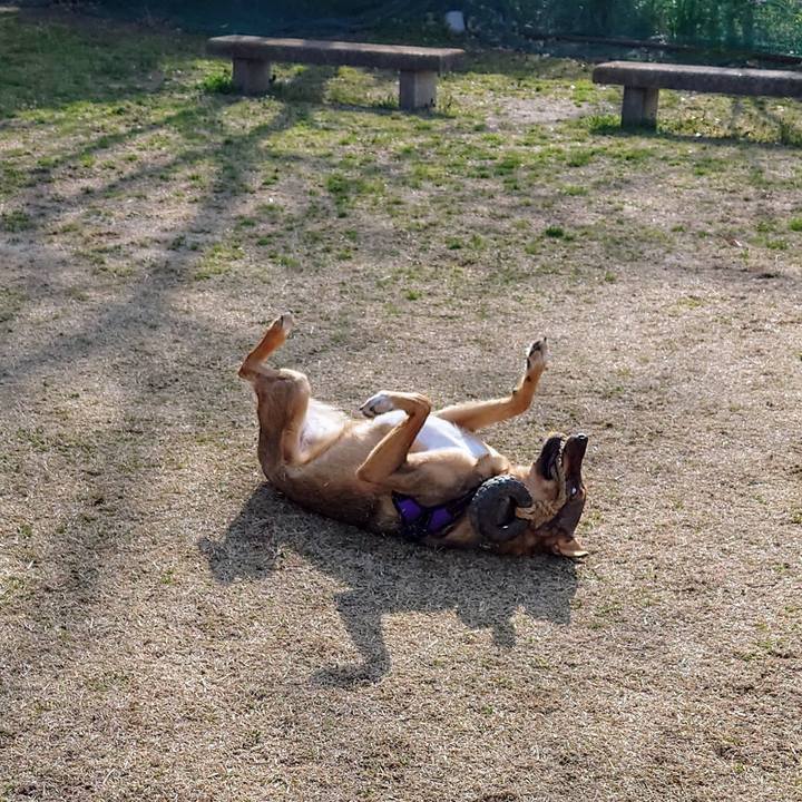 Ccab8520 b891 4dff 9abc efa16c9baa22 1710645614348