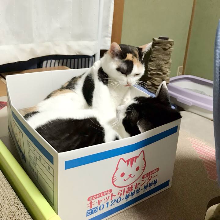 Ccab876a 37d7 4368 9f0c dd67c1ba2adb 1537368964793