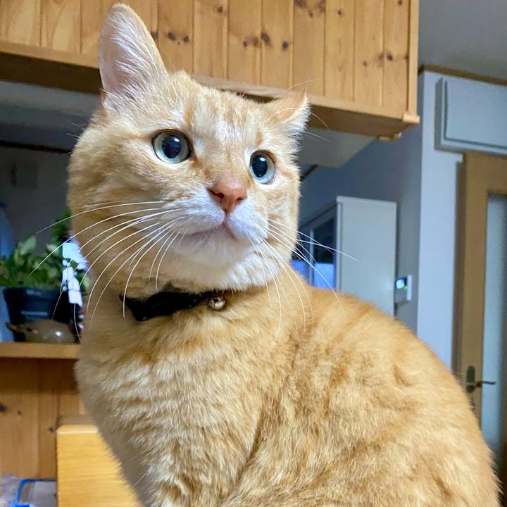 Ccab8d1c 6d7c 4f70 b19e 22c8f70db230 1745192809536