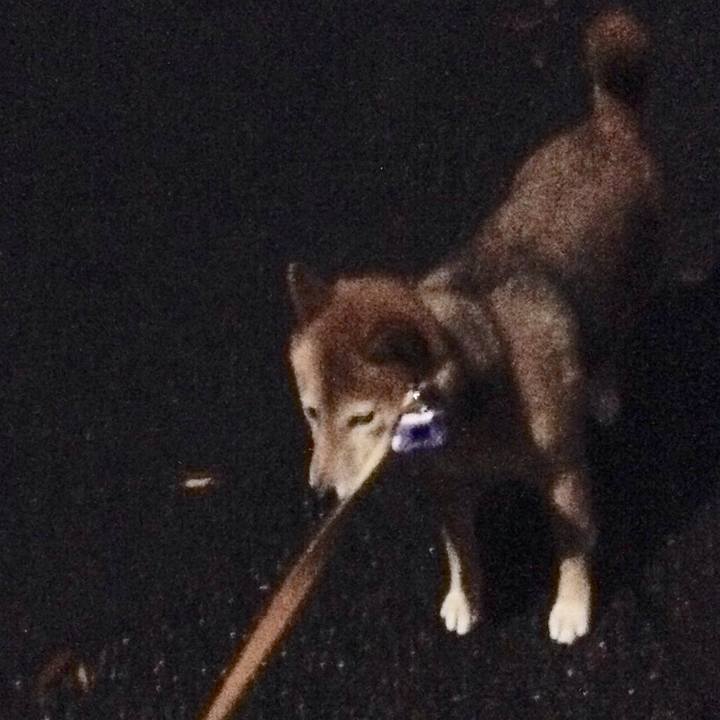 Ccab99d0 fbf4 45b2 b574 c17eeb6b58a3 1510647875673