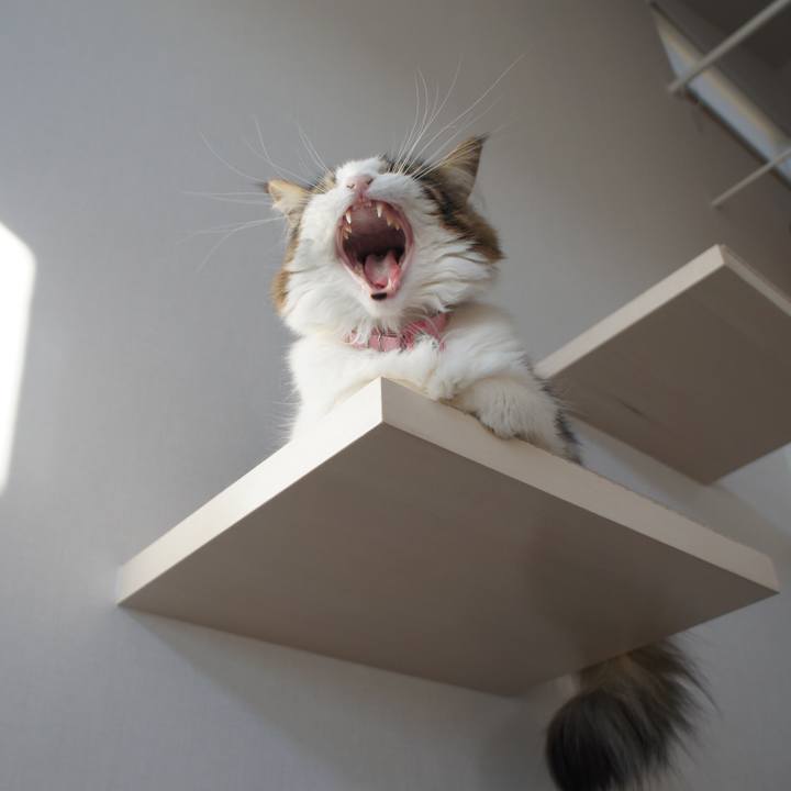 Ccac39d3 a7e0 47a5 a0cd d65958fe2040 1514359039954