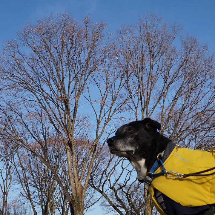 Ccac3b5a 1be0 487a a7d6 f3f3e770ebe1 1765589383225