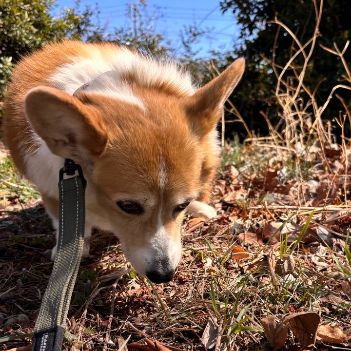 Ccac96e6 cd51 4ee3 a930 37bba002c4a5 1773201408119