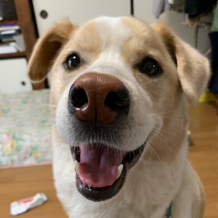 Ccacc60a 6d87 4356 99cd 81de64e7798d 1561854099585