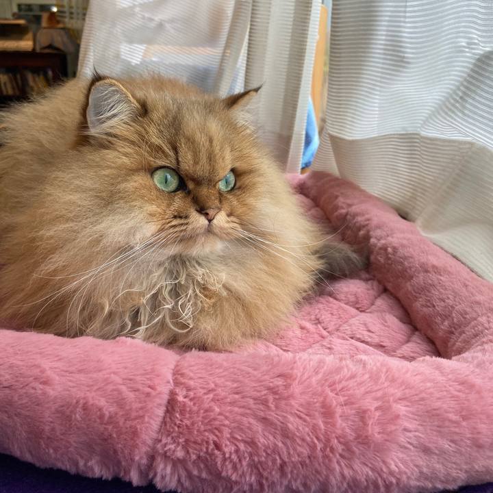 Ccad03cf 7f8c 47af 9ed9 1ca559918beb 1575156242218