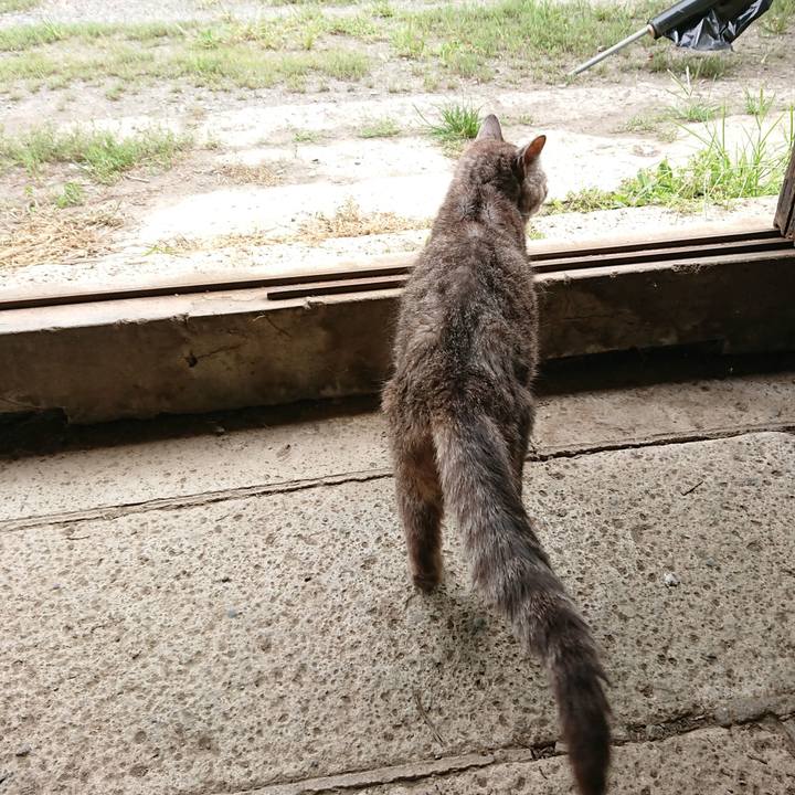 Ccad04e1 83de 4960 9d58 b650d864dc33 1566884916159