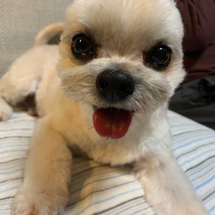 Ccad06a7 e0a9 421a aff0 b777592daedb 1763371465046