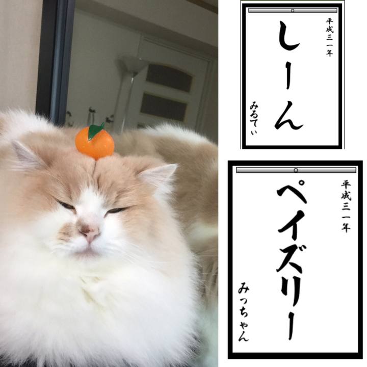 Ccad0b9d f097 46a9 aba7 cd6ef76a5727 1546609438217