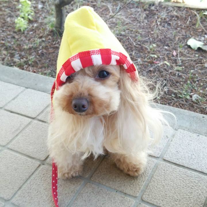 Ccad3031 5f49 4dd8 9be1 f5af79c46927 1522402973741