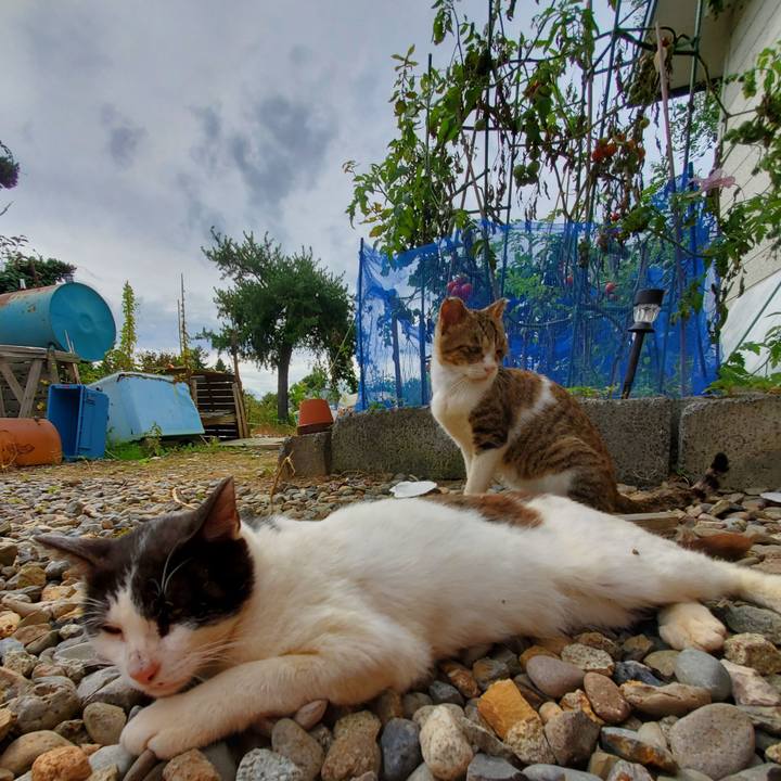 Ccad47fb 8b0f 432f a55c 9ec622f4d719 1695737808318