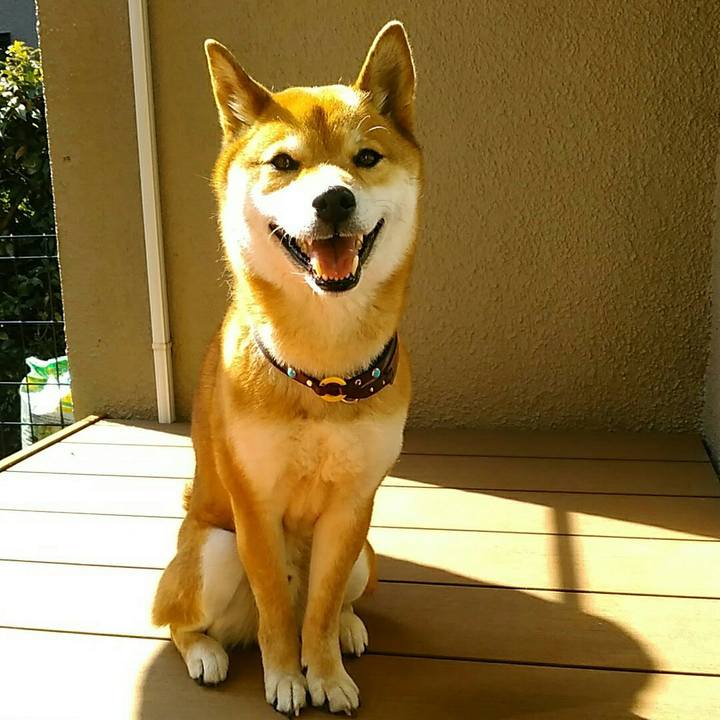 Ccad5a1c d55f 428c a2d6 92244b5c7461 1550312551617