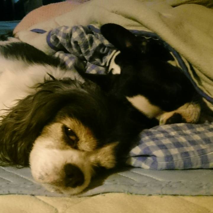 Ccad6100 abcb 4cfb a3de 39465d4c3f48 1507978085017