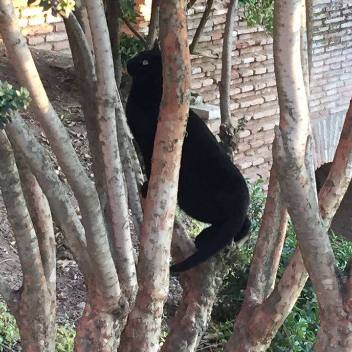 Ccadc13d 5b75 4be0 9b69 4ee84c5fd0ec 1514207826596