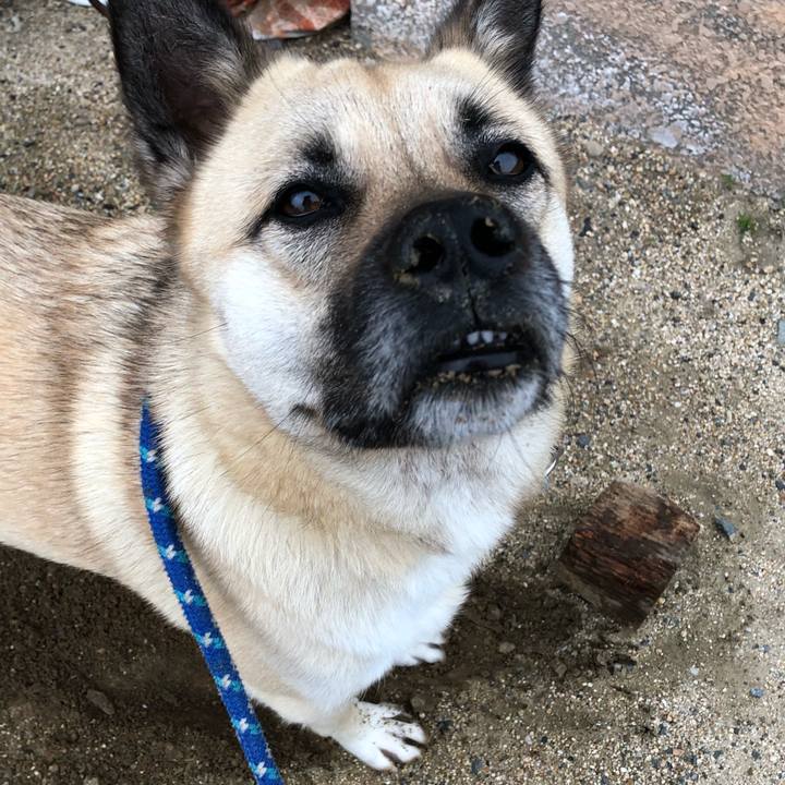 Ccadcde9 6110 4429 b083 938f35734fdb 1526648159905