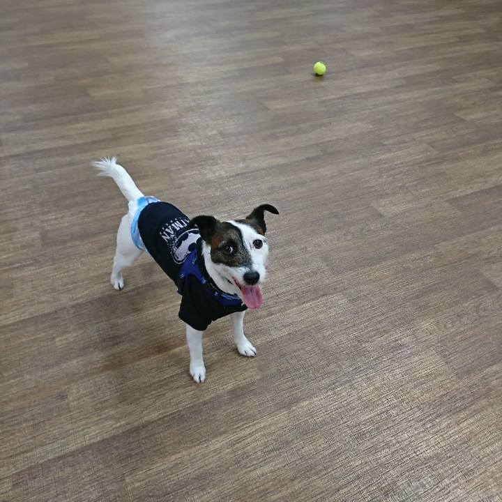 Ccadd427 612c 48e2 b7d2 587cc45728df 1519441387785