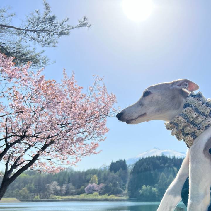 Ccae033e 11a5 4c48 8ad6 3228f0eefbba 1776760509272