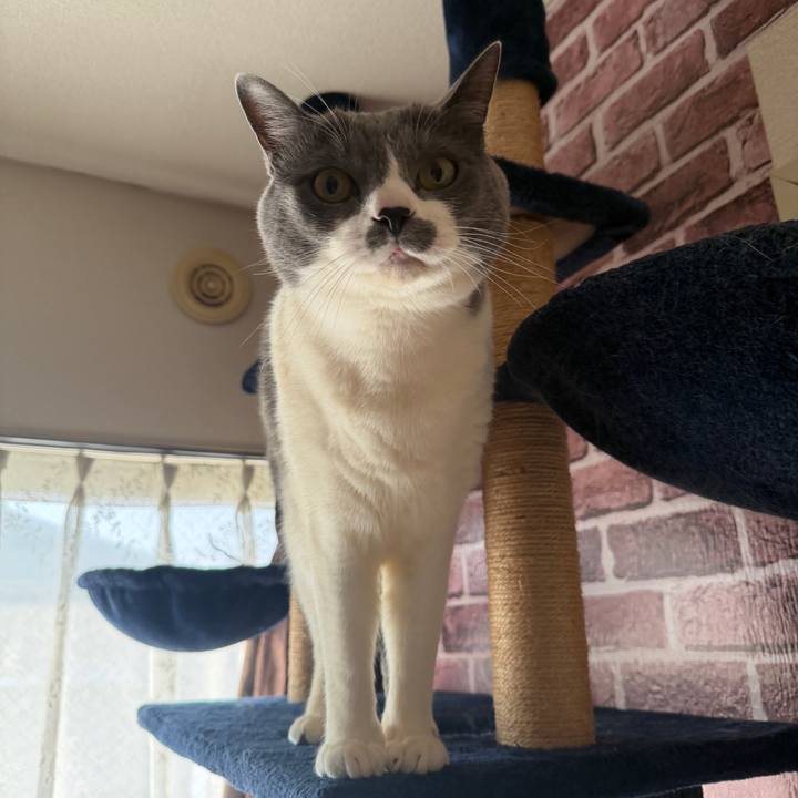 Ccae4efc 03ee 4d2c 9224 5c186805b2d7 1771199568849