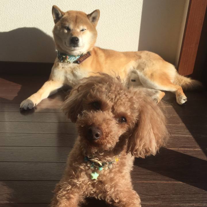 Ccae5b5c 21d2 4ebc 9027 84b11275e1ab 1516841264507