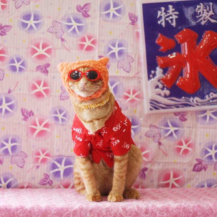 Ccae66c0 0d19 4efd 90ea 52f71121c87c 1690166174400