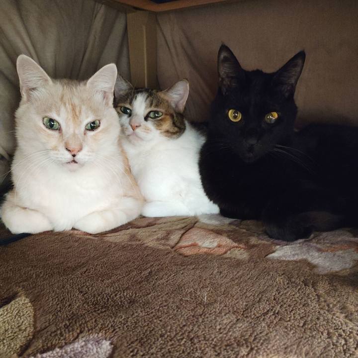 Ccae9e71 da08 4360 83a4 bf204e17888d 1763527804258