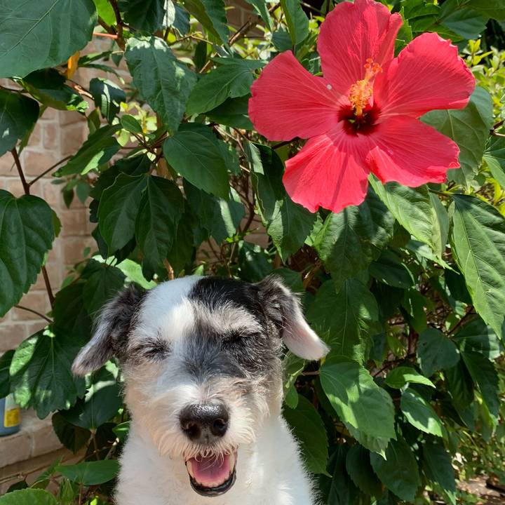 Ccaebbab d2dd 45ec 994a 4f6e79a1a460 1655763271000