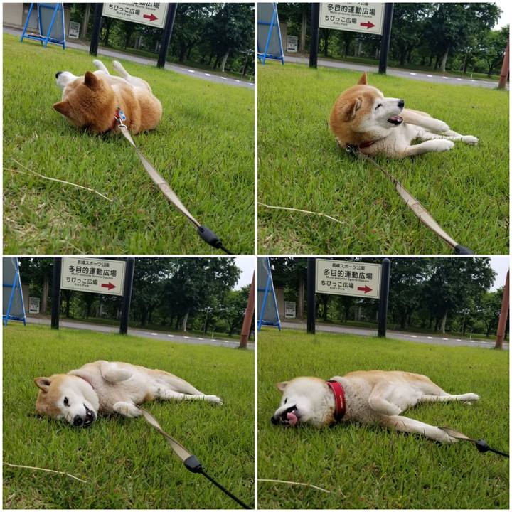 Ccaebd98 6d00 4a65 9164 c0b4d09e10b4 1717659301874