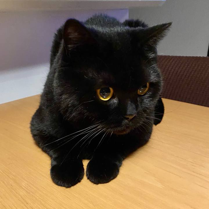 Ccaebfff 7116 436c 88cb 87f82ed711fd 1716466489167