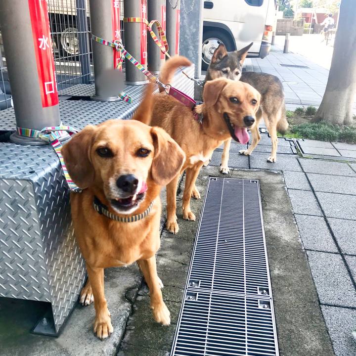 Ccaf155b ef9d 4680 92e9 5d4116274eba 1536502745827