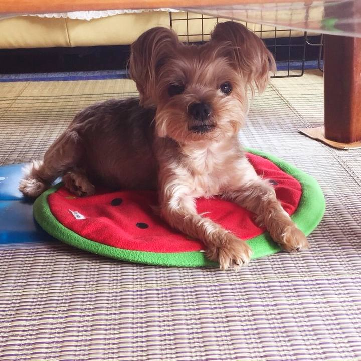 Ccaf32ea 1782 49e6 8176 39eb9f278eff 1533860609607