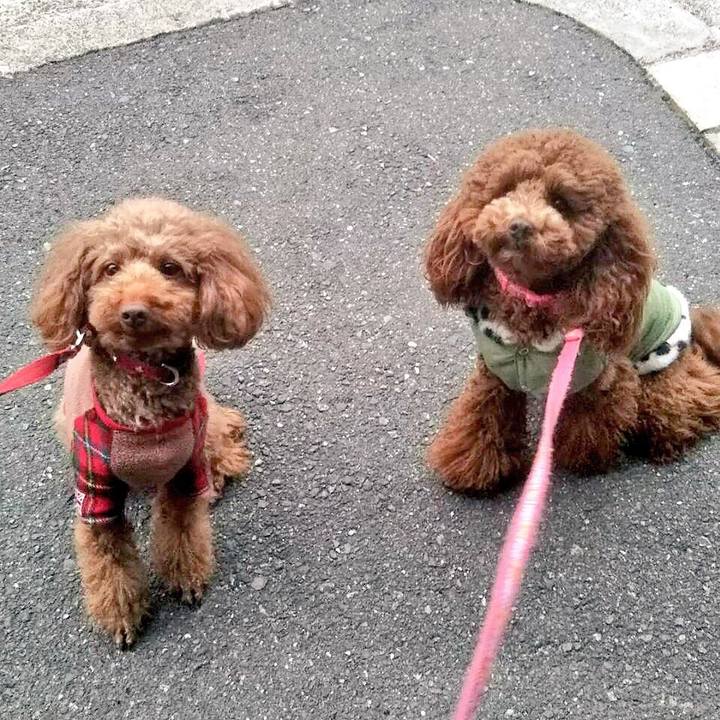 Ccaf480e bf70 4863 a54f 83b8bb3333e4 1518690344047