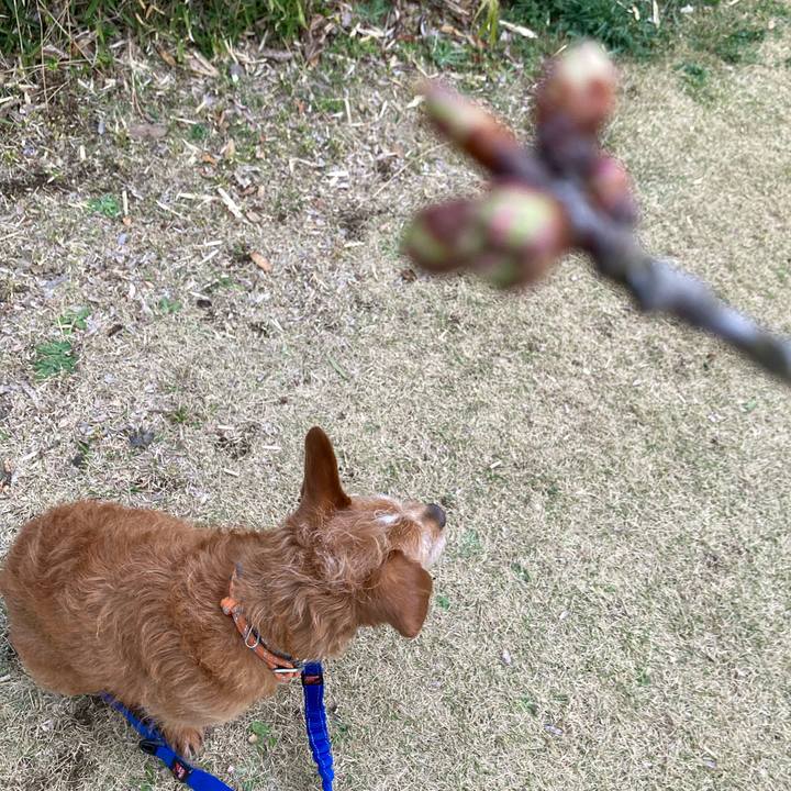 Ccaf56c8 c05a 47fc b0b1 af8c0cdb3a0d 1647685526044