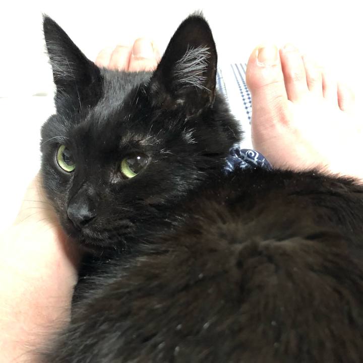 Ccaf9203 e1db 4c64 b0a9 7e2aadc4a1f5 1578061111976