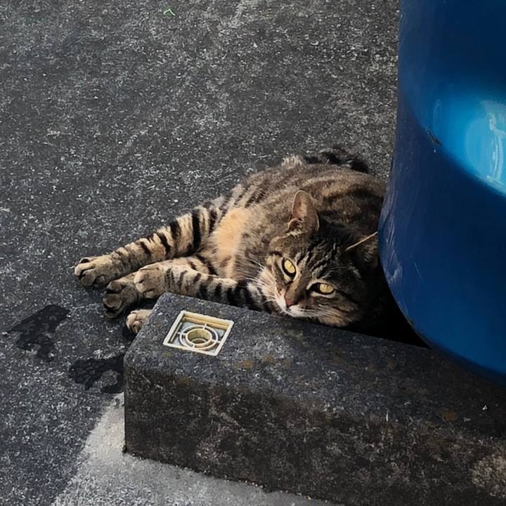 Ccb001ea 495e 4400 8284 052b67254227 1558693953607