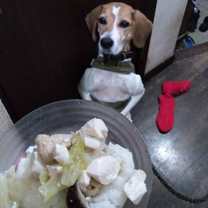 Ccb03d1a d435 402a be8c 2a9008bbb7e0 1697359256647