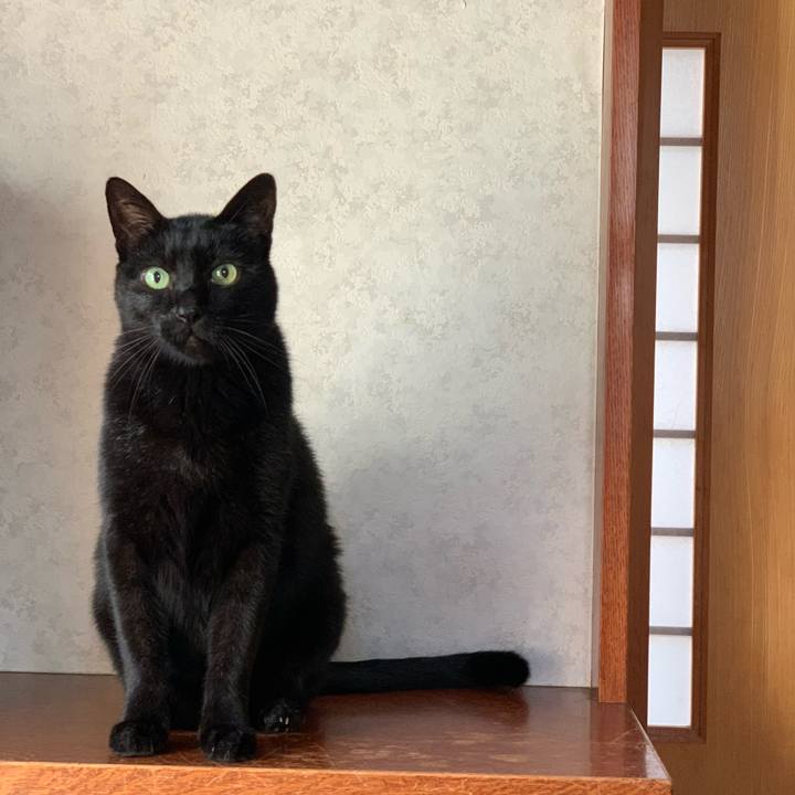 Ccb07676 cf55 4e8b bd0c cd6d1950b770 1603590954351