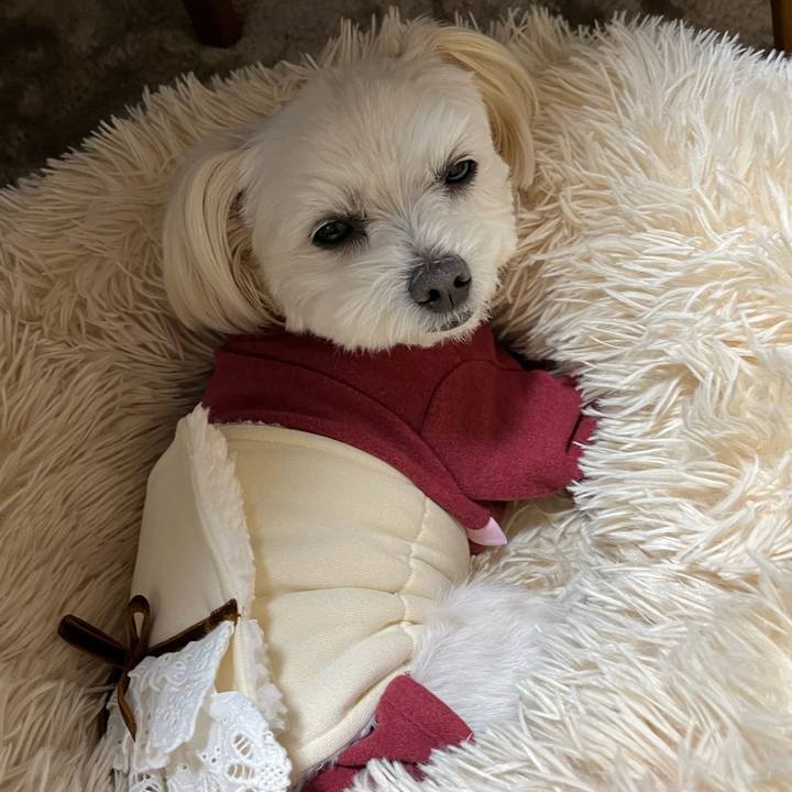 Ccb0bf5b e229 41bf 8988 82a914c89672 1676378788536