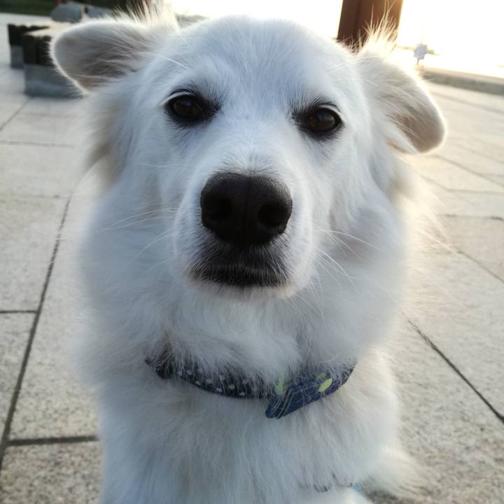 Ccb14521 944f 4eef 8ea5 5b476fd03d5f 1542100833670