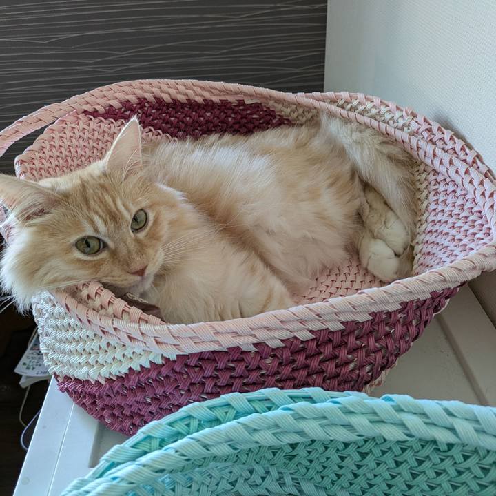 Ccb14d51 f518 4617 b5eb 63982cc57b67 1726662143122