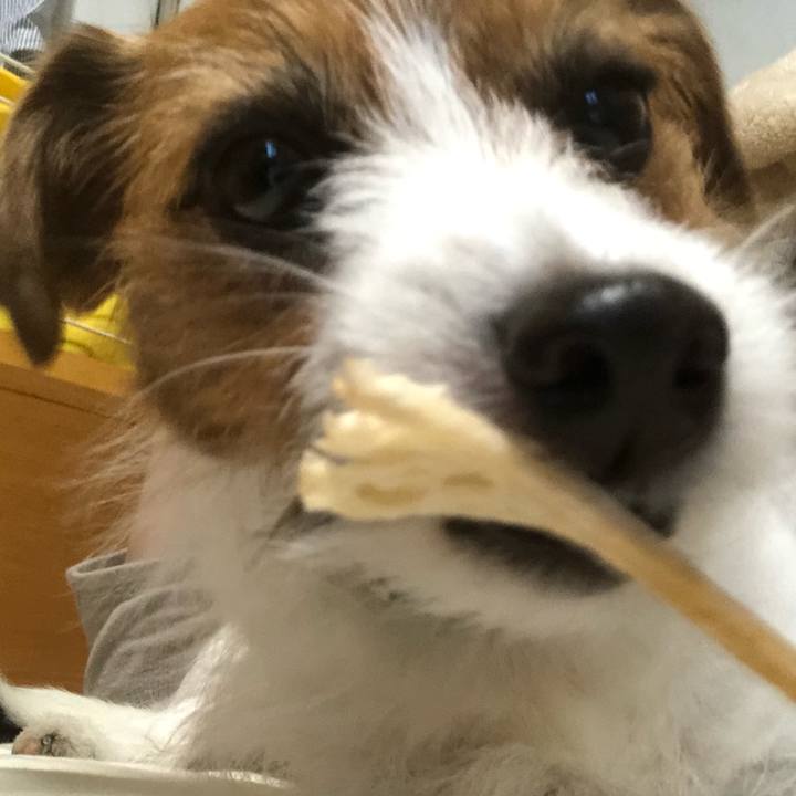 Ccb16ff2 f164 41ec b164 9f112abf4400 1550385763968