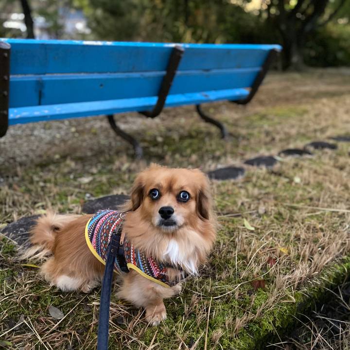 Ccb17c75 7f25 48af a988 a8db42a04df9 1575409127629