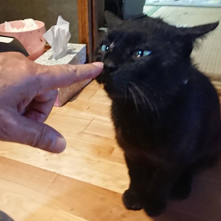 Ccb17ce8 a882 41c5 aff8 618a70f3422a 1623580165298