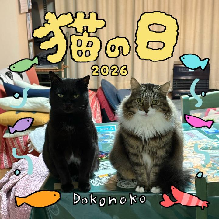 Ccb1a0de 362e 4675 b900 15d4c4c6419c 1771742061368