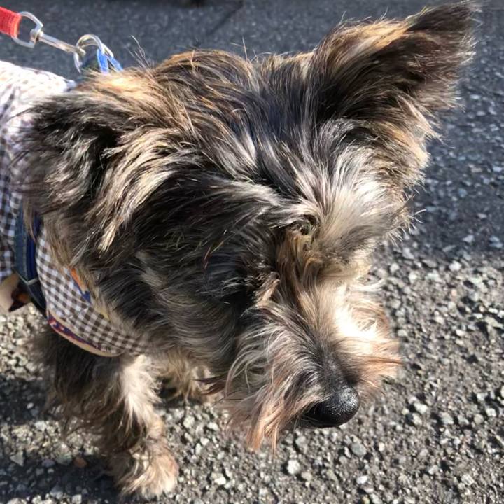 Ccb1ba61 4b3c 40aa ba5a 90651245c67a 1613226575981