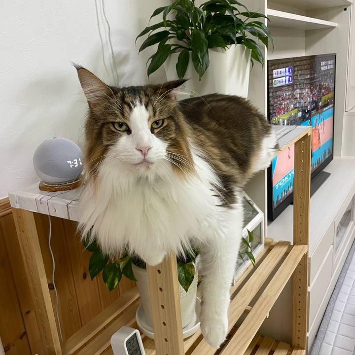 Ccb1ec8f 6c79 4cb7 9dd3 976566dd798c 1695553695464