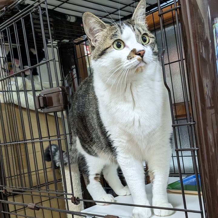 Ccb200e8 12e9 4bc1 8230 73c8eb36c8fa 1682593341199