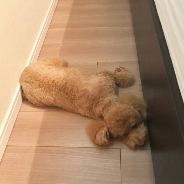 Ccb201c4 6257 4b95 9db0 b61e18543170 1533786546259