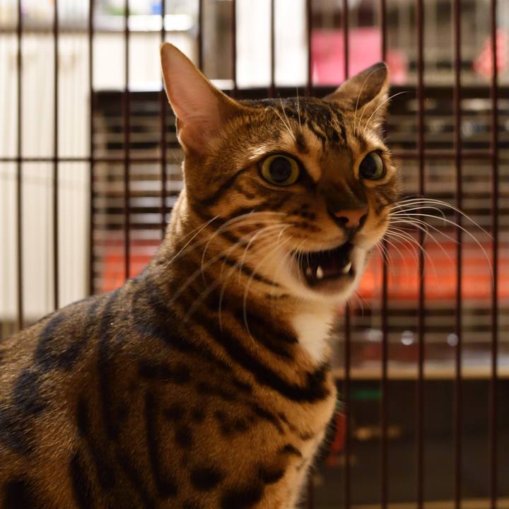 Ccb207dd 6eca 4c2d bcb4 61a39be142ea 1512137741826