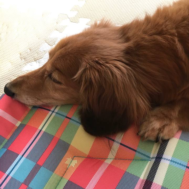 Ccb2239b 406c 4018 8408 e6fea2fad4e9 1624022169066