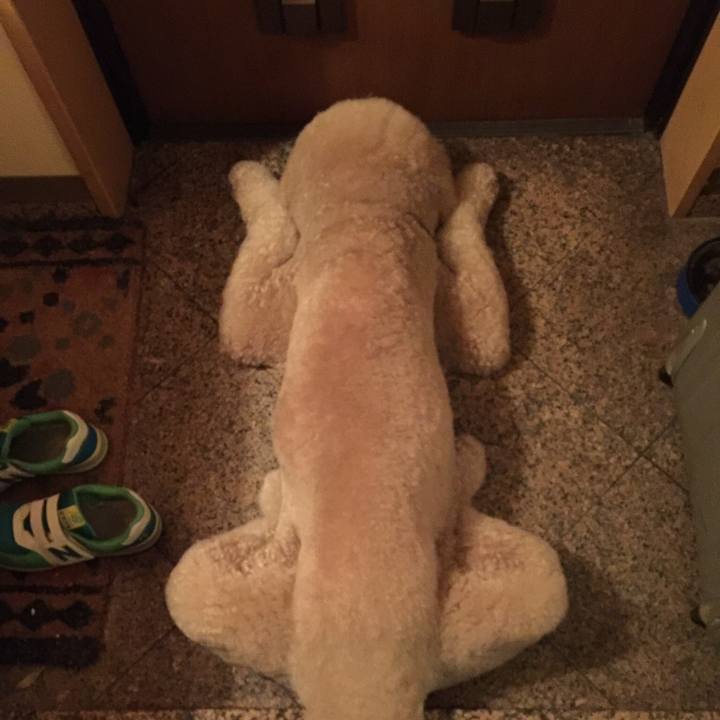 Ccb23e88 12fe 4bf4 8706 346088757f12 1538056947966